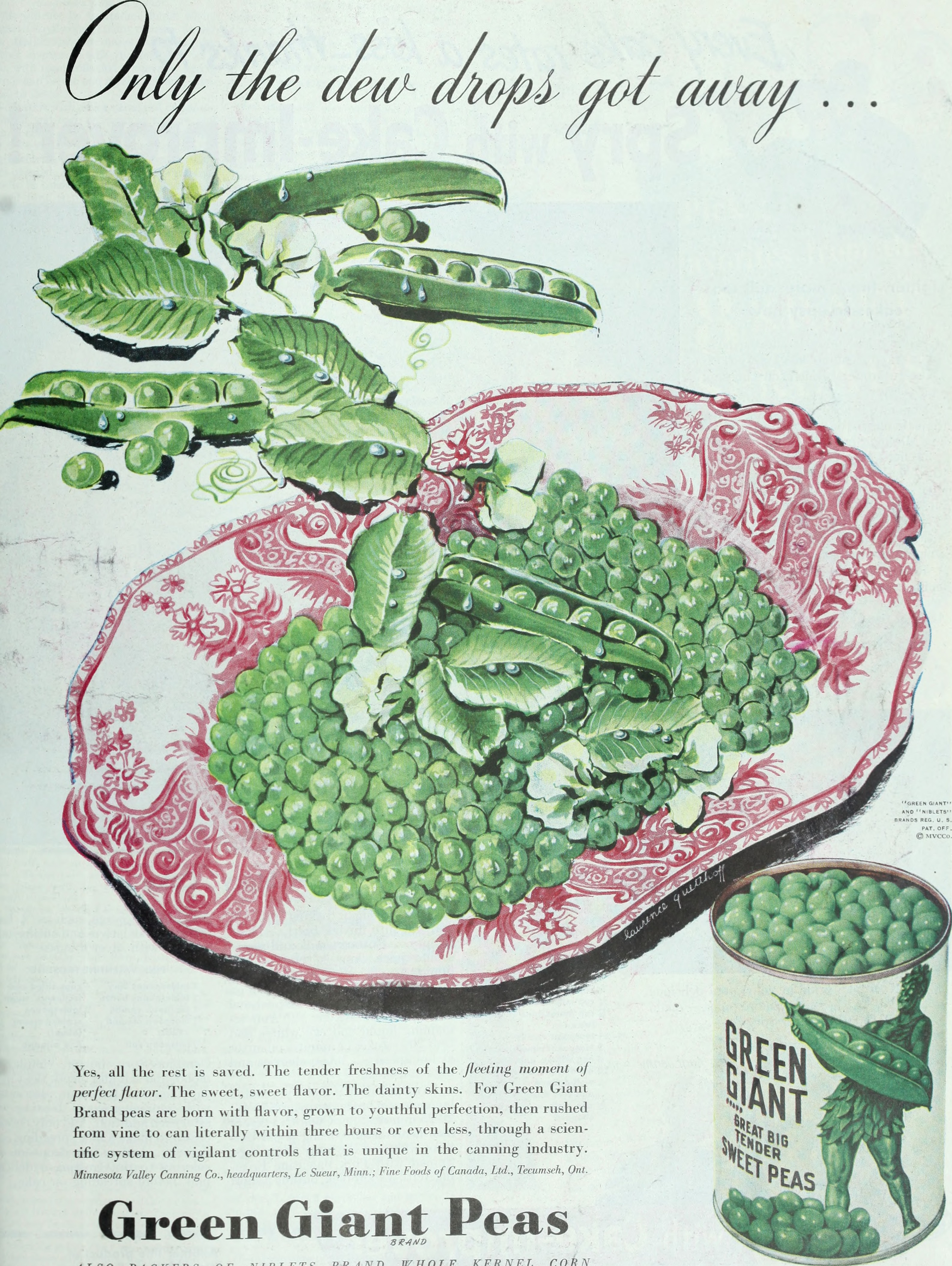 Green Giant | Wiki | Everipedia