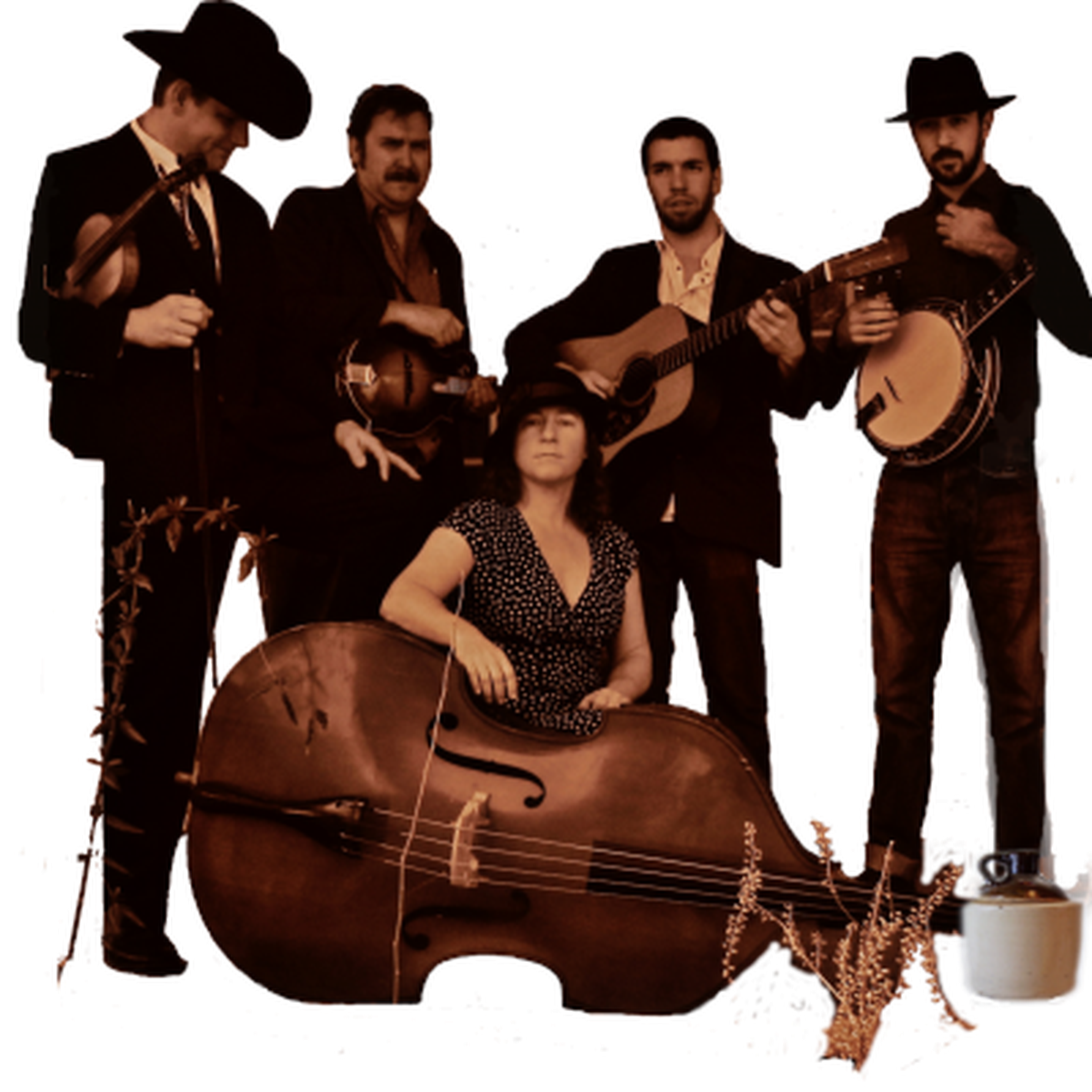 Johnny Campbell & The Bluegrass Drifters wiki, Johnny Campbell & The Bluegrass Drifters review, Johnny Campbell & The Bluegrass Drifters history, Johnny Campbell & The Bluegrass Drifters news