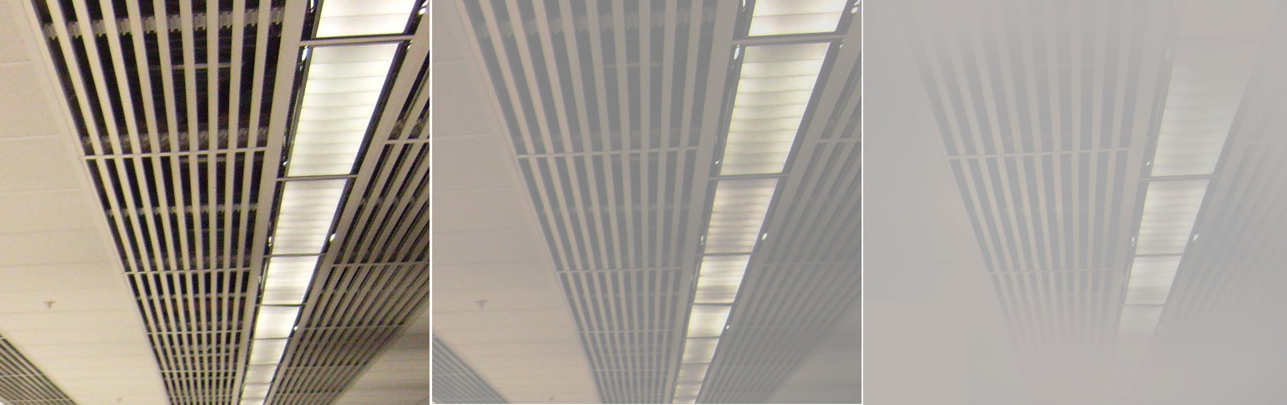 Greyout Wiki Everipedia