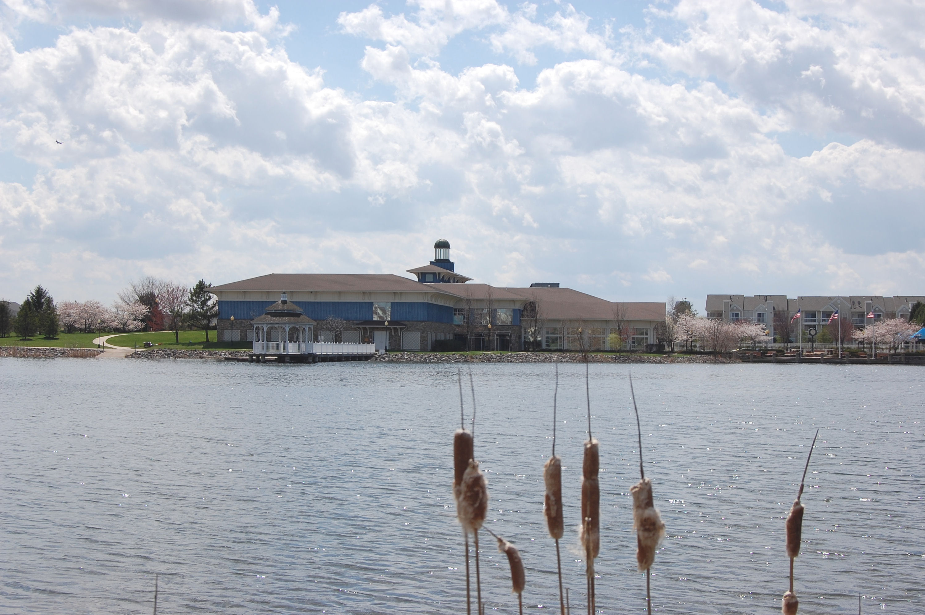 Ashburn Village Wiki Everipedia