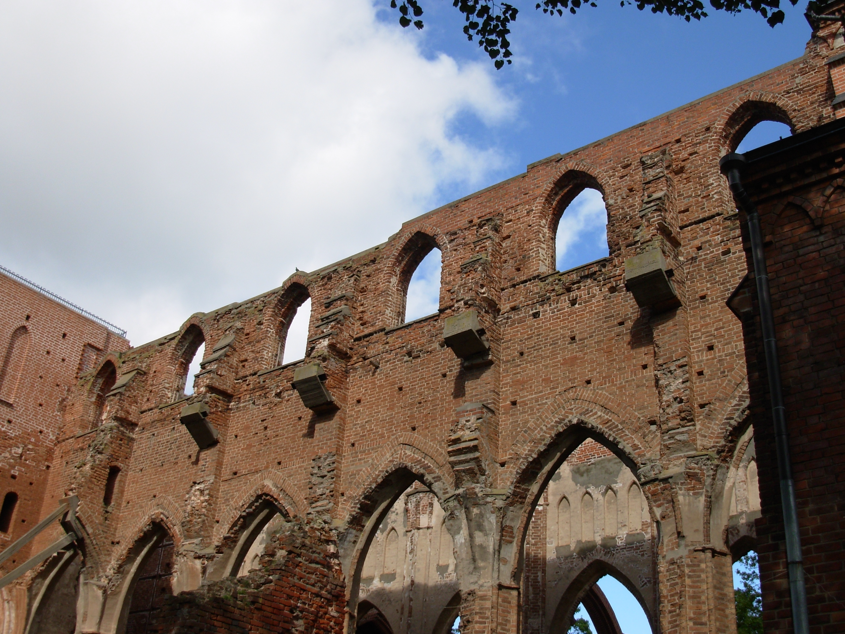 Hermann of Dorpat Wiki Everipedia