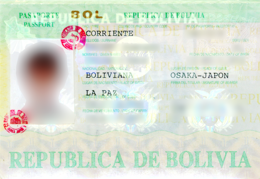Passport group. Паспорт Боливии. Общегражданский паспорт Боливии. Паспорт Боливии география. Фото паспортов в Боливии.