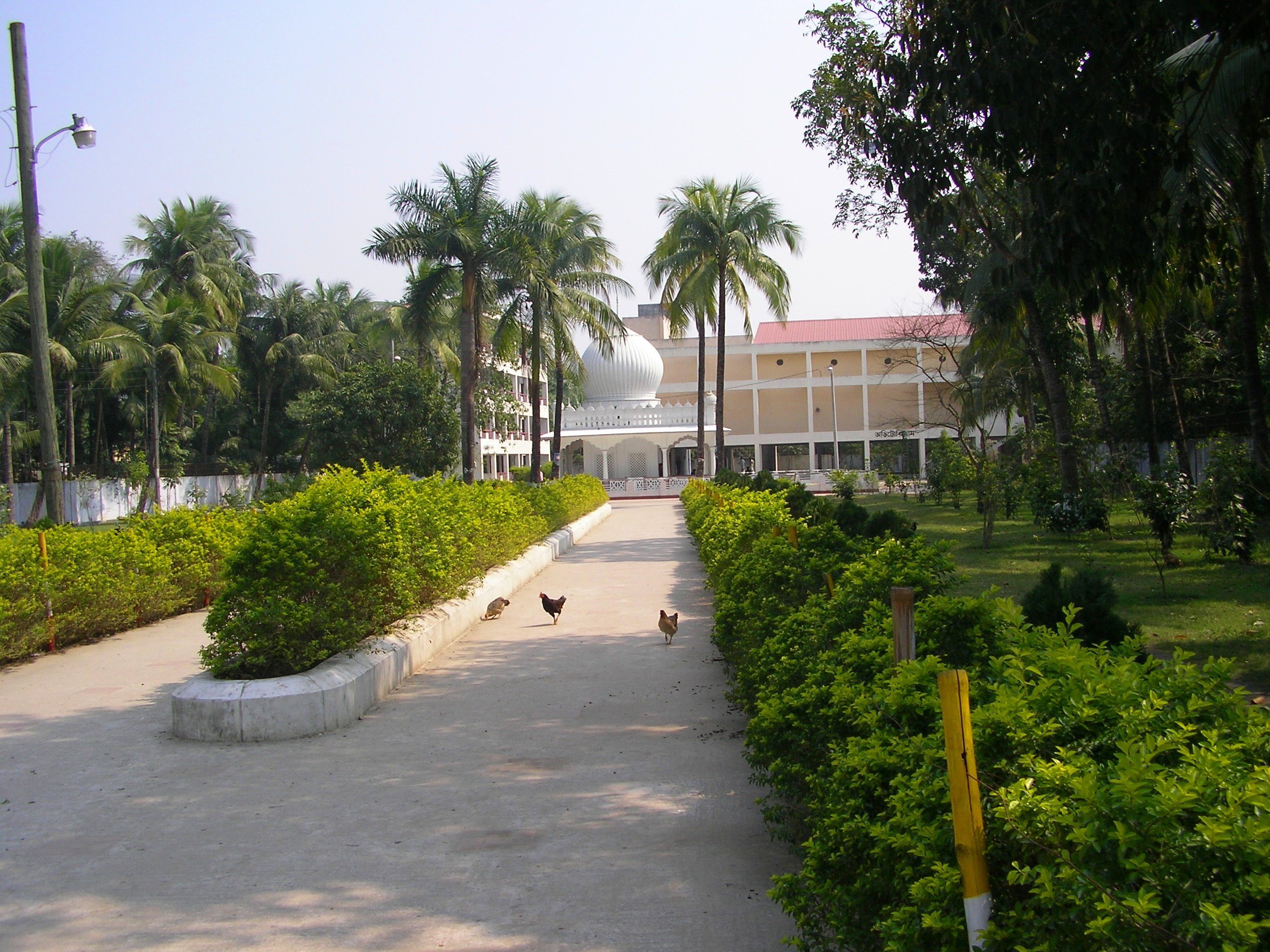 Kushtia District Wiki Everipedia kushtia-district-wiki-everipedia