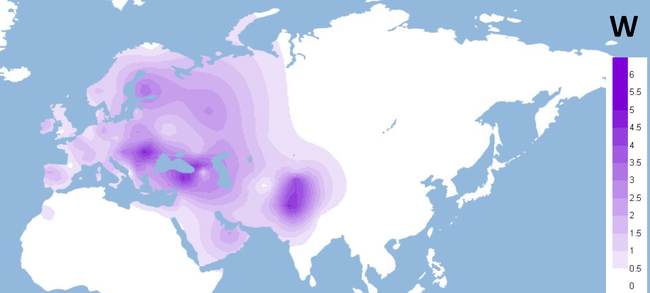 Haplogroup W (mtDNA) Wiki Everipedia