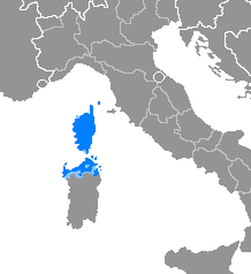 Idioma corso Wiki Everipedia