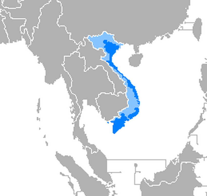 Idioma Vietnamita Wiki Everipedia idioma-vietnamita-wiki-everipedia