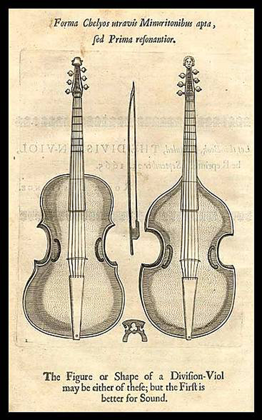 Viola da gamba Wiki Everipedia