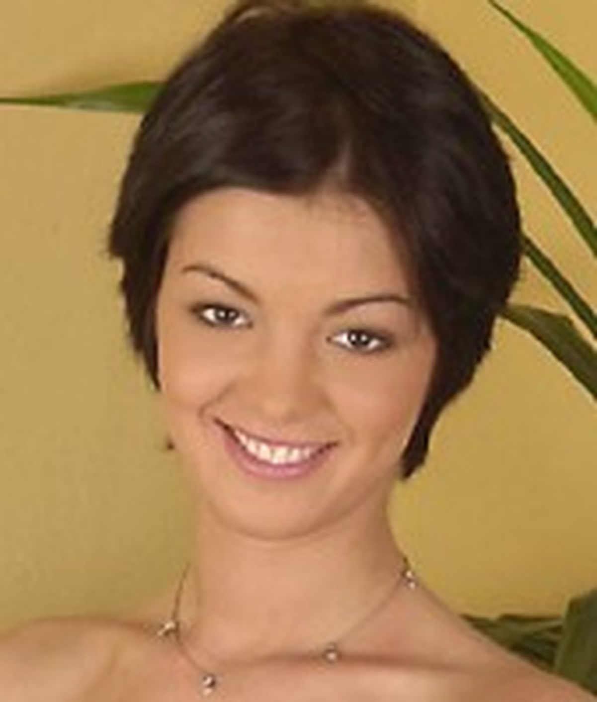 Bambie Dolce Wiki