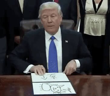 Trump Draws Wiki Everipedia