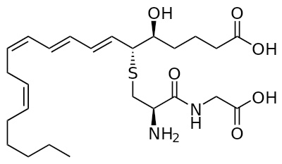 Leukotriene D4 Wiki Everipedia