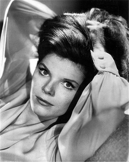 Samantha Eggar | Wiki & Bio | Everipedia