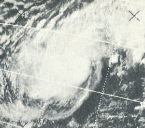 1971 Pacific typhoon season Wiki Everipedia