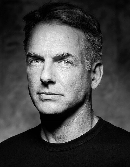 Mark Harmon Wiki & Bio Everipedia