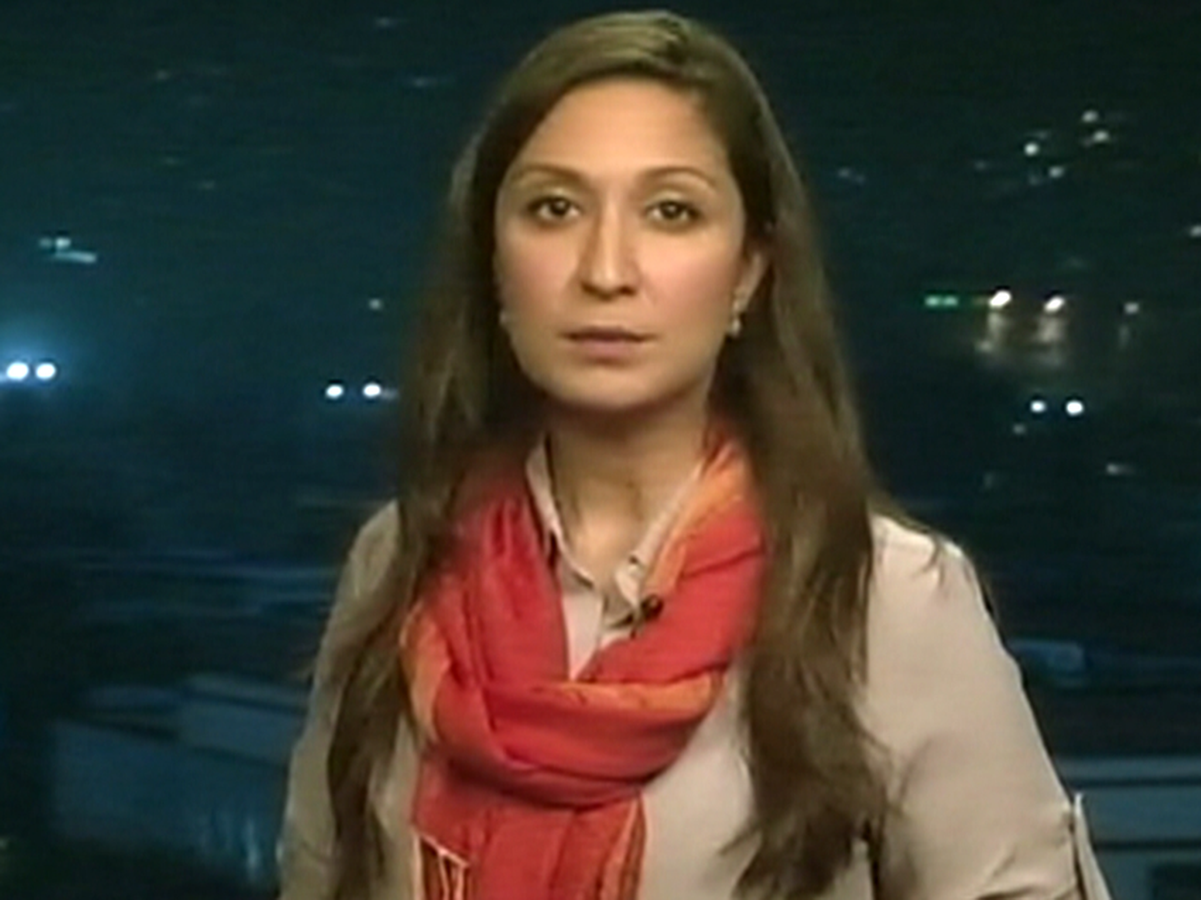 amna-nawaz-wiki-everipedia